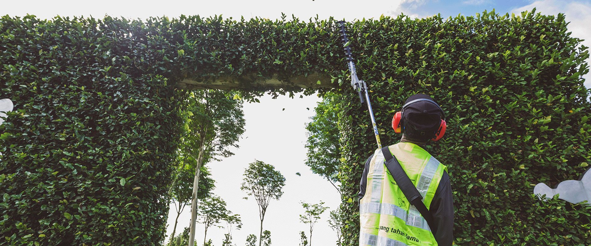 Long Reach Hedge Trimmer