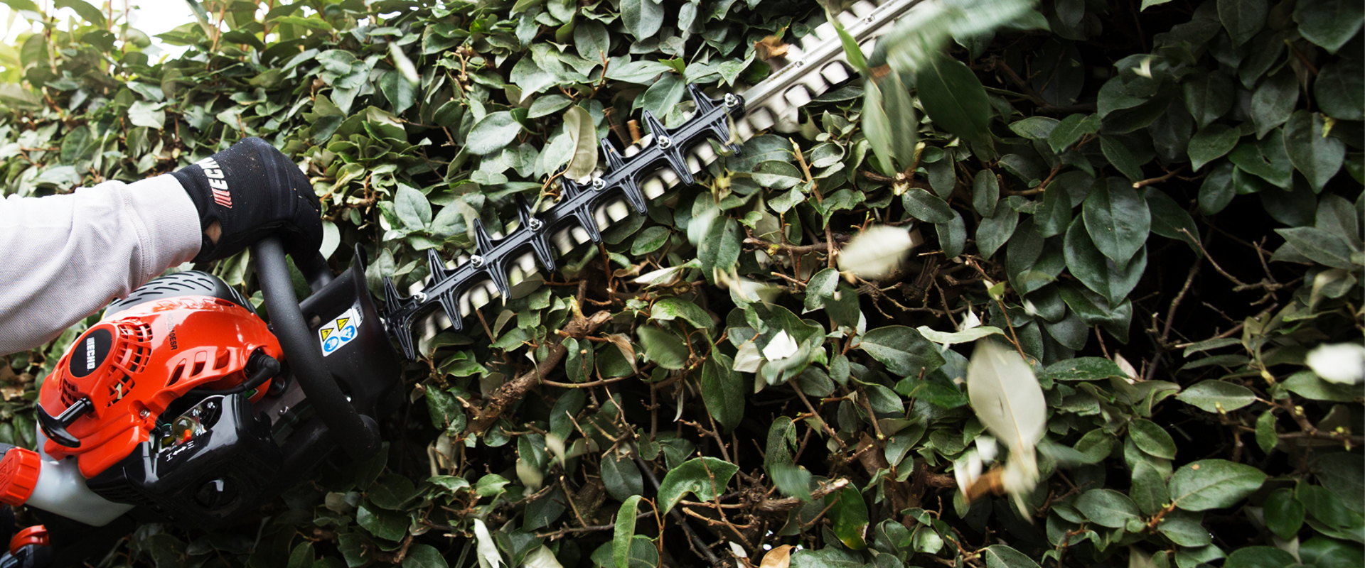 Double Sided Hedge Trimmers