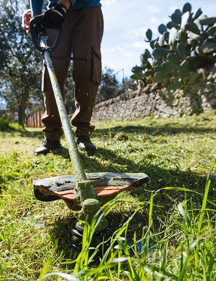 Trimmers & Brushcutters