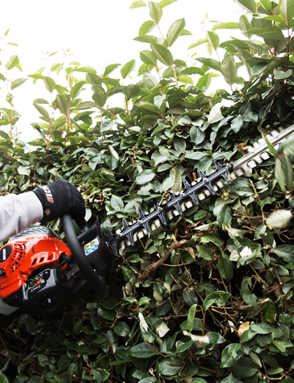 Double Sided Hedge Trimmers