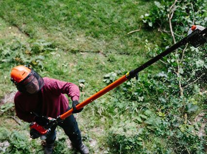 Power Pruners Power Pruners