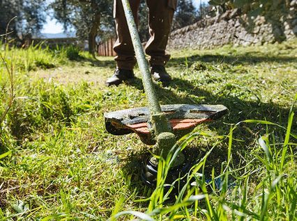 Trimmers & Brushcutters