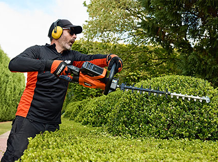 Spring hedge trimming techniques